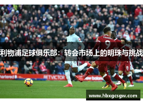 利物浦足球俱乐部：转会市场上的明珠与挑战