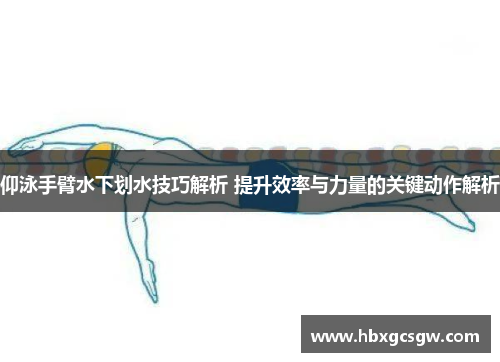 仰泳手臂水下划水技巧解析 提升效率与力量的关键动作解析