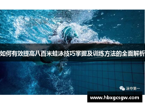 如何有效提高八百米蛙泳技巧掌握及训练方法的全面解析