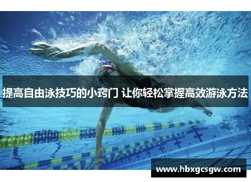 提高自由泳技巧的小窍门 让你轻松掌握高效游泳方法