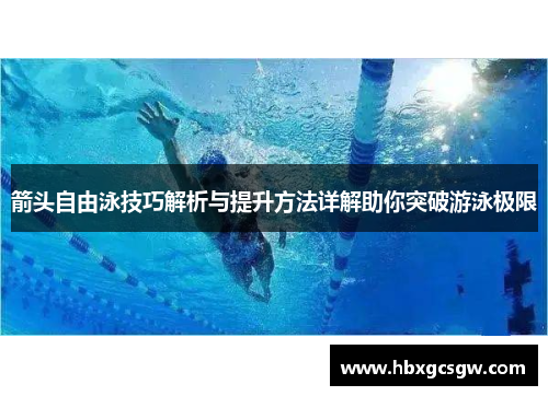 箭头自由泳技巧解析与提升方法详解助你突破游泳极限