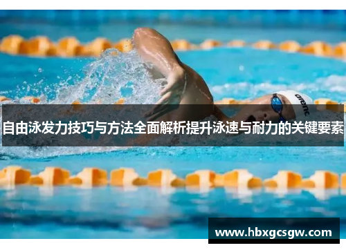 自由泳发力技巧与方法全面解析提升泳速与耐力的关键要素