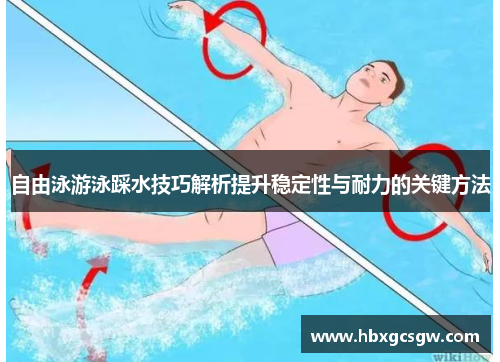 自由泳游泳踩水技巧解析提升稳定性与耐力的关键方法