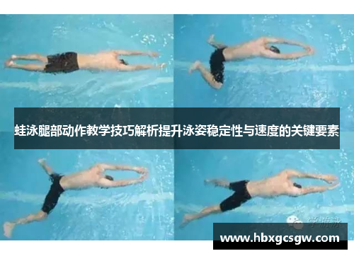 蛙泳腿部动作教学技巧解析提升泳姿稳定性与速度的关键要素