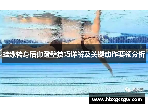 蛙泳转身后仰蹬壁技巧详解及关键动作要领分析