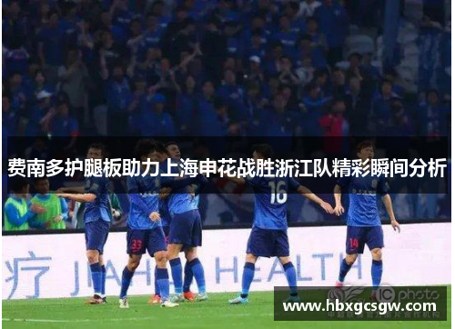 费南多护腿板助力上海申花战胜浙江队精彩瞬间分析